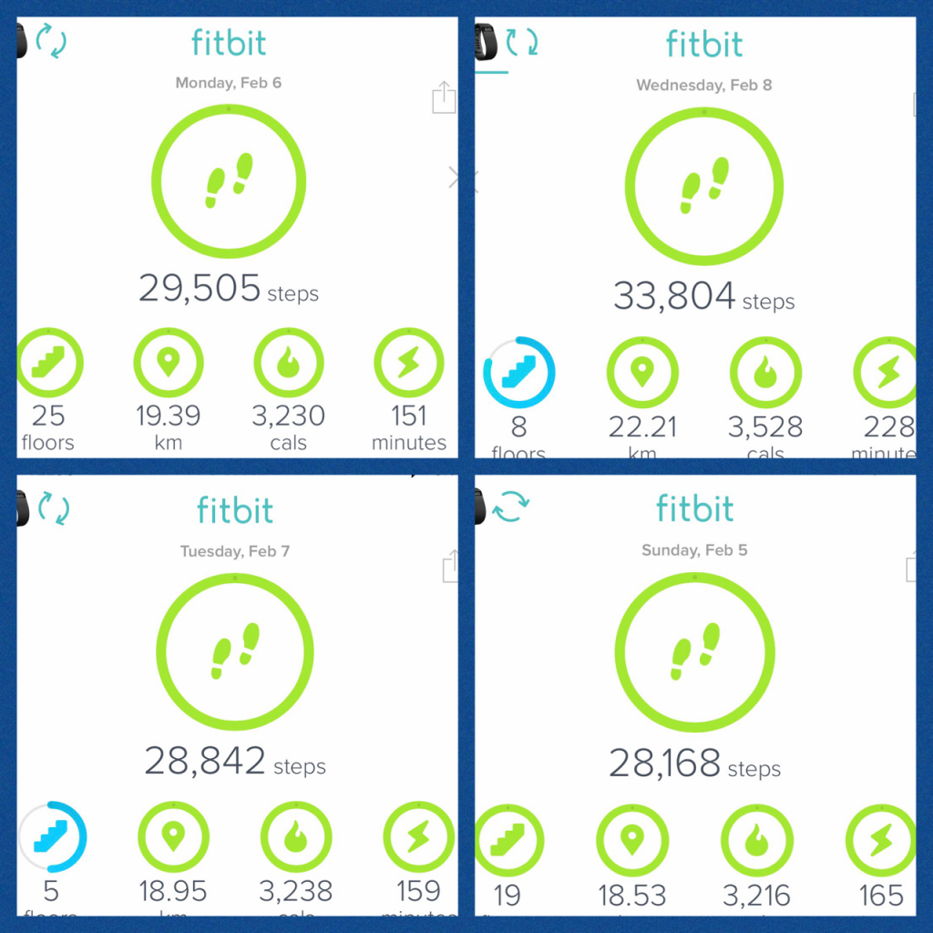 fitbit ww app